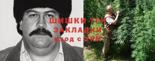 стаф Алексин