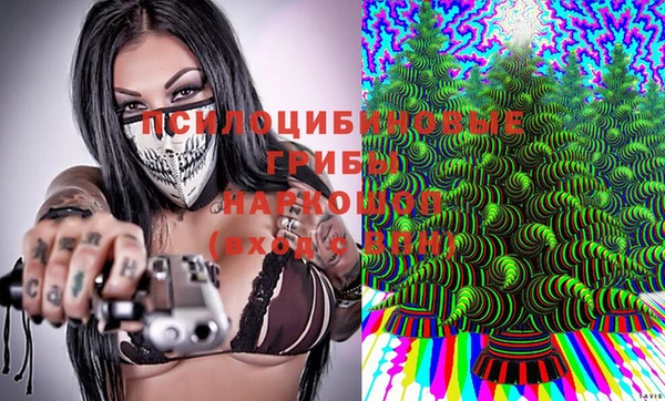 гидропоника Алзамай